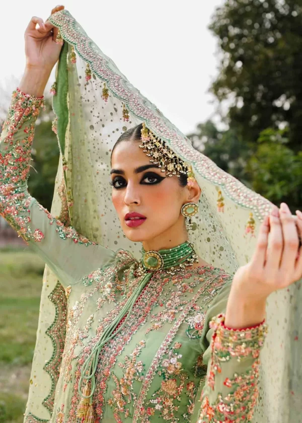 Zaib-un-Nisa Hussian Rehar Collection By Rang - Image 2