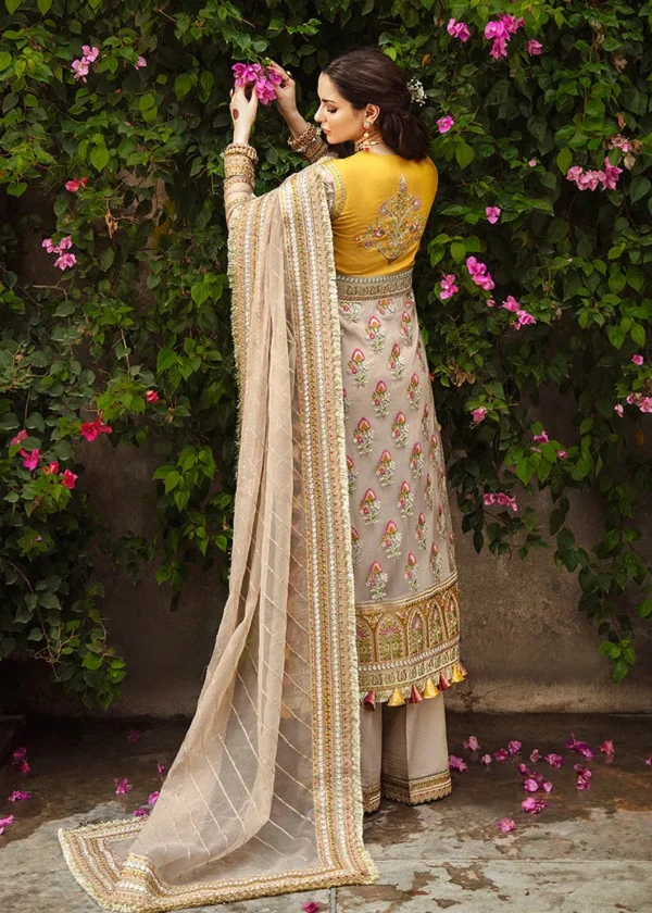 Chambeli The shehnai Wedding Collection By Afrozeh