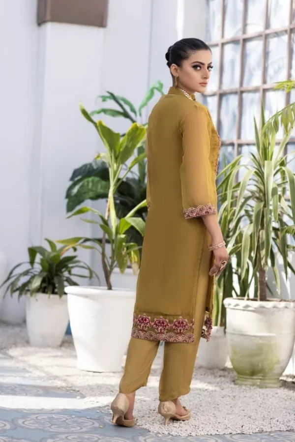 Dazzling Jazzy – Organza 2 Pc Ready To Wear by ketifa