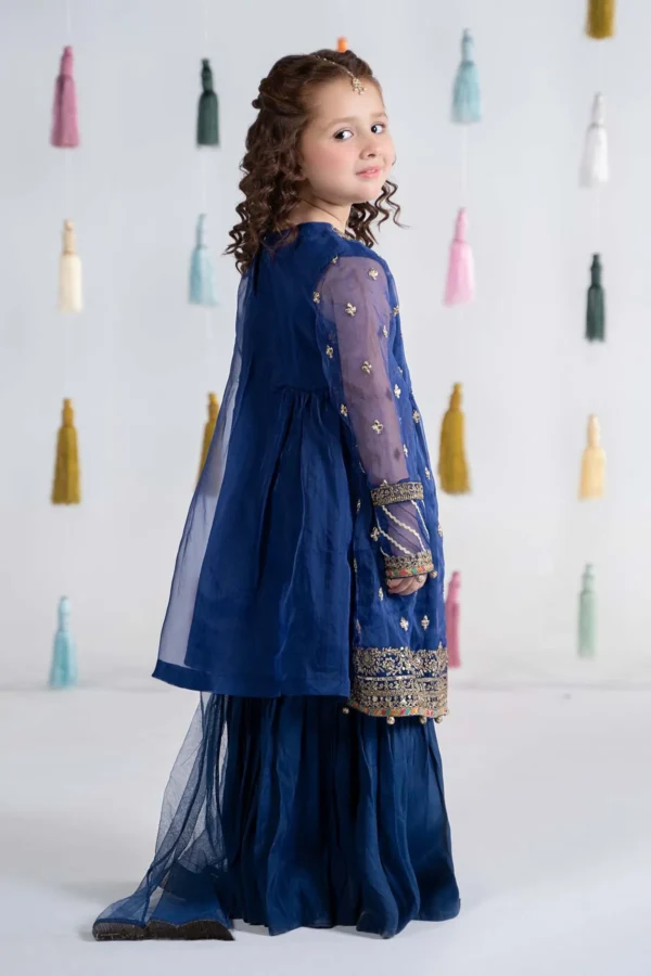 3 Piece Embroidered Organza Suit (MKS-EA24-15)