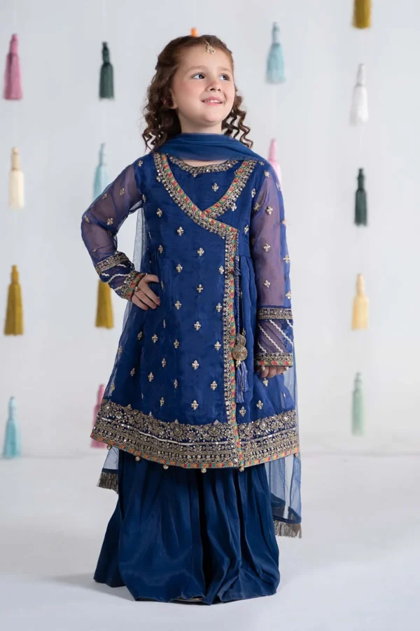 3 Piece Embroidered Organza Suit (MKS-EA24-15)