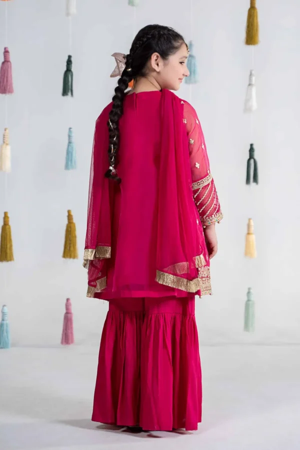 3 PIECE EMBROIDERED ORGANZA SUIT | MKS-EA24-15