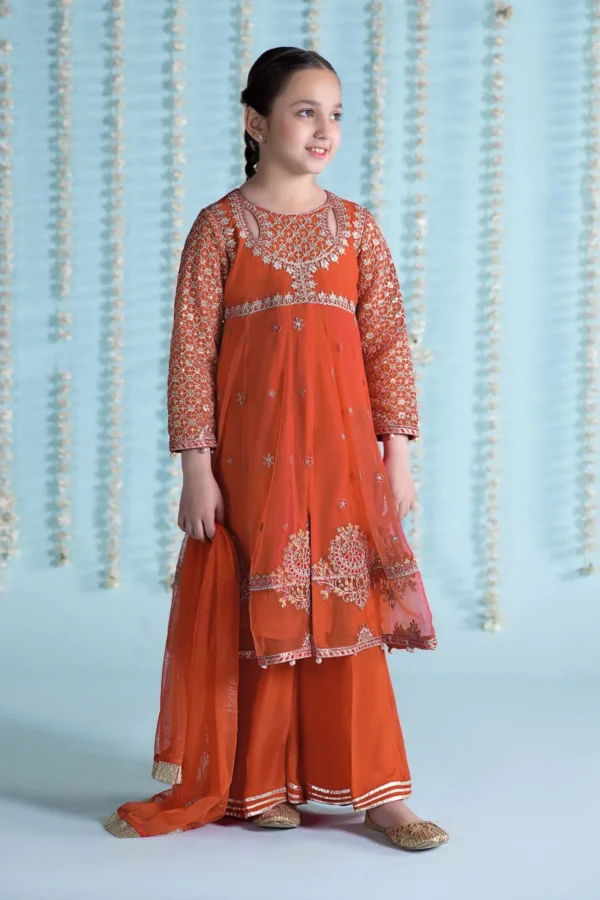 3 Piece Embroidered Net Suit | MKS-EA24-02