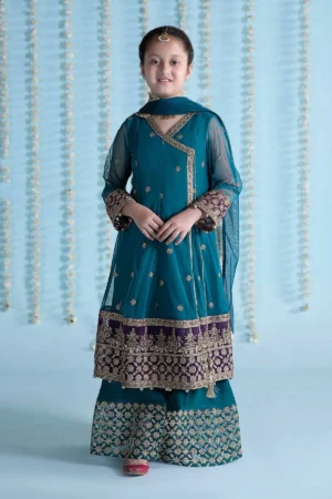 3 Piece Embroidered Net Suit | MKS-EA24-36