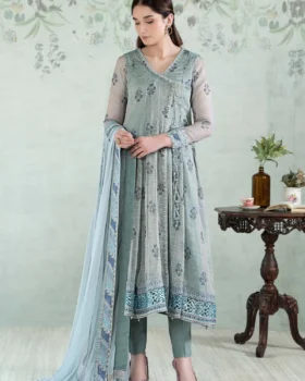 Maria B Luxury Pret | DW-EA24-29