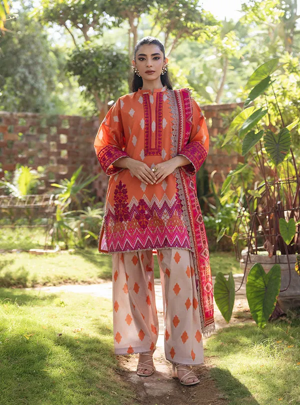 Pakistani clothing online