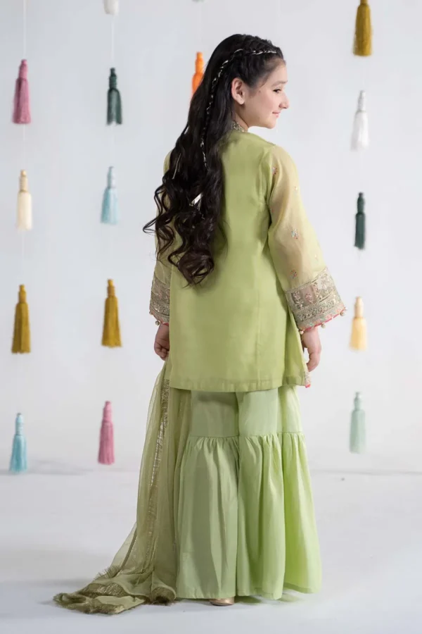 3 Piece Embroidered Paper Cotton Suit | MKS-EA24-04