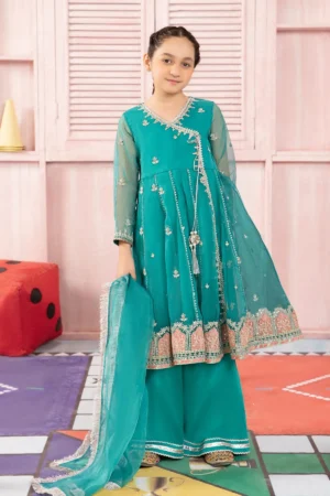 3 Piece Embroidered Organza Suit | MKS-PF24-01