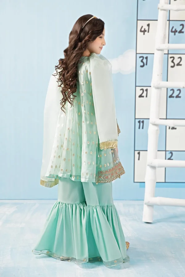 3 Piece Embroidered Organza Suit | MKS-PF24-04