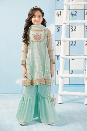 3 Piece Embroidered Organza Suit | MKS-PF24-04