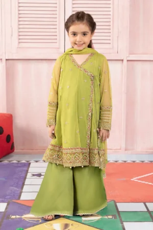 3 Piece Embroidered Net Suit | MKS-PF24-05