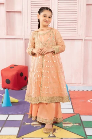 3 Piece Embroidered Organza Suit | MKS-PF24-07