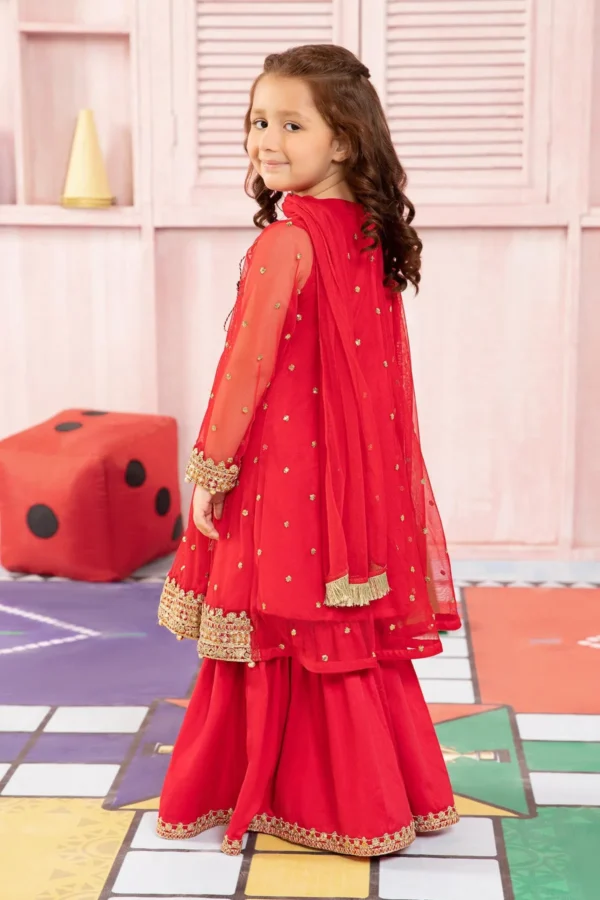 3 Piece Embroidered Net Suit | MKS-PF24-08