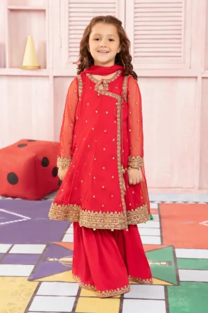 3 Piece Embroidered Net Suit | MKS-PF24-08