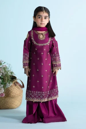 3 Piece Embroidered Cotton Silk Suit | MKS-EA24-13