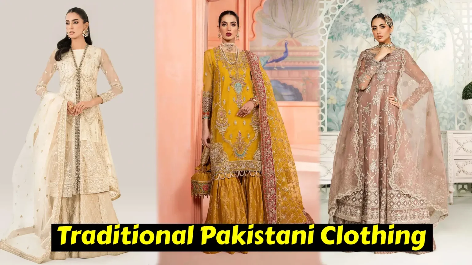 Traditional Pakistani Clothing