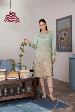 Design 2B By Sobia Nazir Sn Basics 24