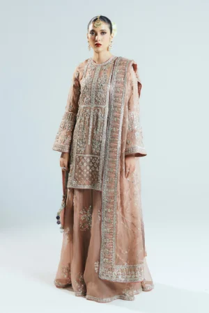 Hussain Rehar Sitaray Luxury Formals 24 By Dune