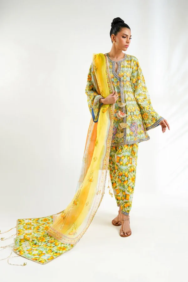 Sania Maskatiya Inaya Formals By Syla