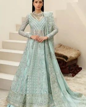 Afrozeh Shehnai Wedding Formals Tazmeen