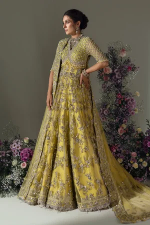 Elan Wedding Festive 24 LIME BLOSSOM (EC24-03)