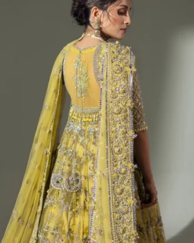 Elan Wedding Festive 24 LIME BLOSSOM (EC24-03)