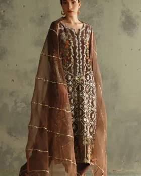 Rozina Munib Vistara Luxury Velvets By VV-19