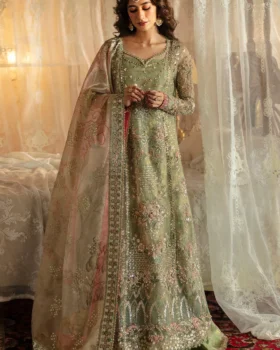 Afrozeh Hayat 24 By Shreya