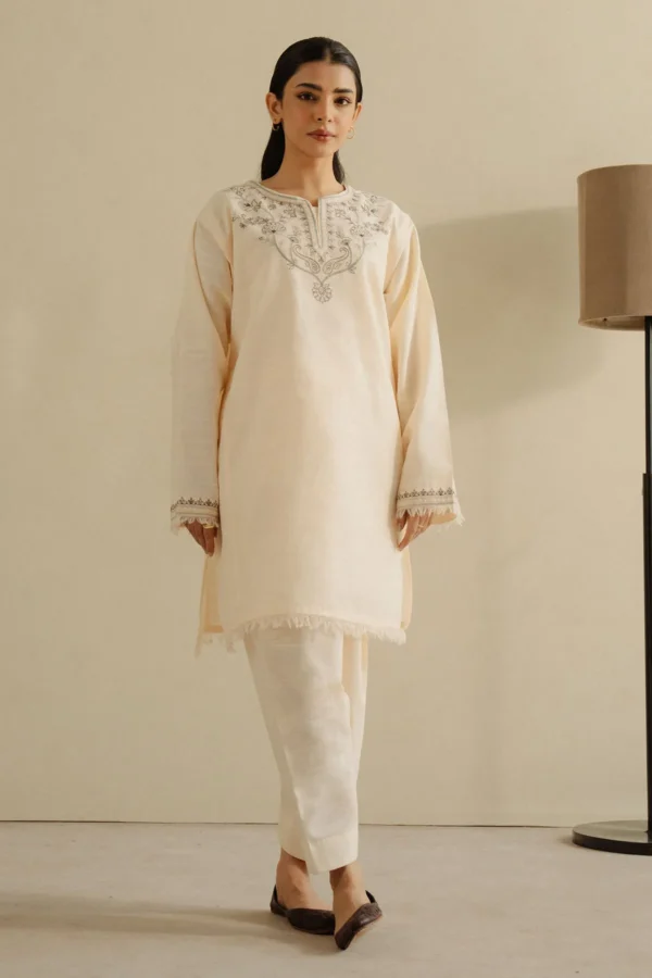 Zara Shahjahan Fall Basics 24