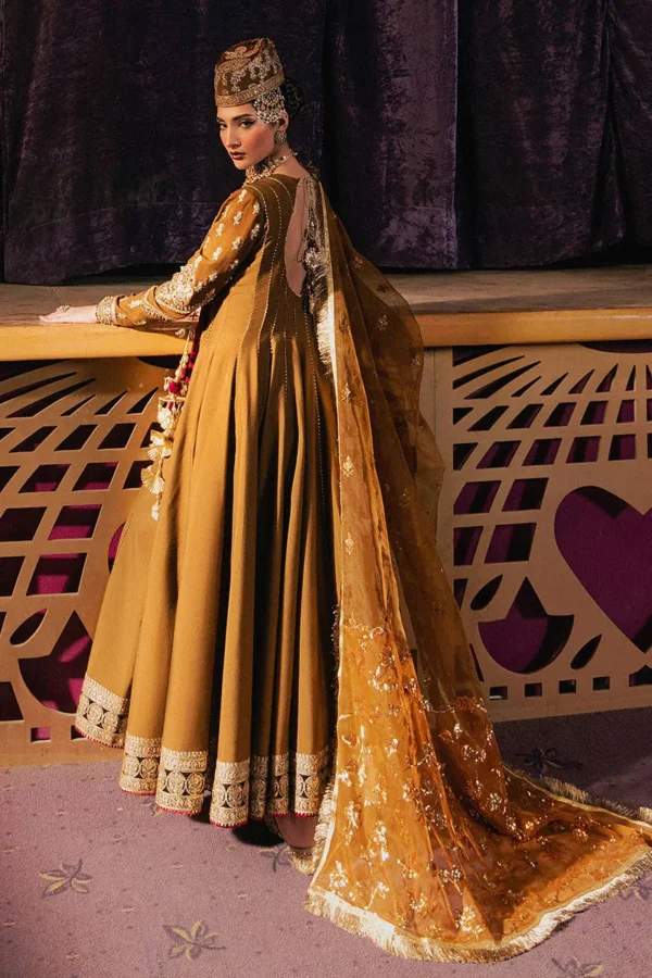 Mohsin Naveed Roxy Cinema Velvet Edit Anjuman