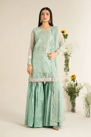 Maria B Embroidered Cotton Silk Suit | DW-EF25-17