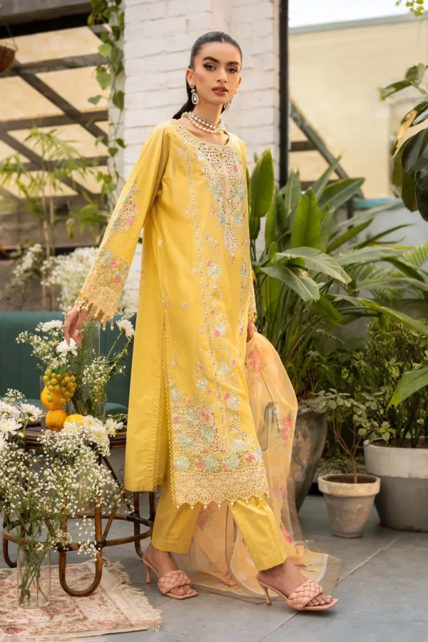 Maria B Embroidered Lawn Suit | DW-EF25-05/A