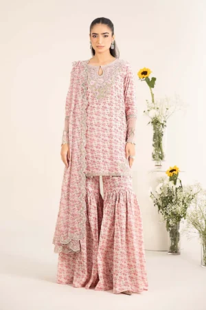 Maria B Embroidered Lawn Suit | DW-EF25-50