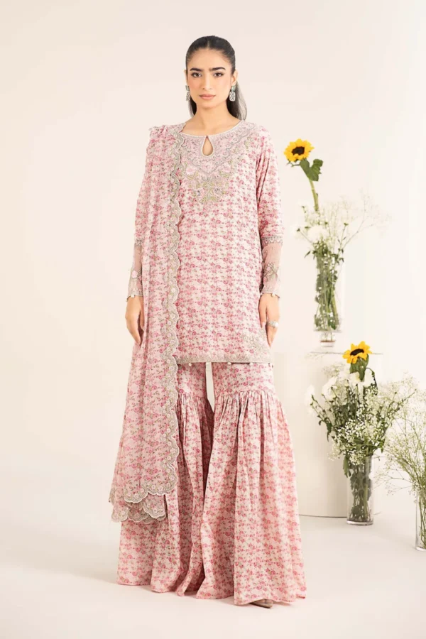 Maria B Embroidered Lawn Suit | DW-EF25-50