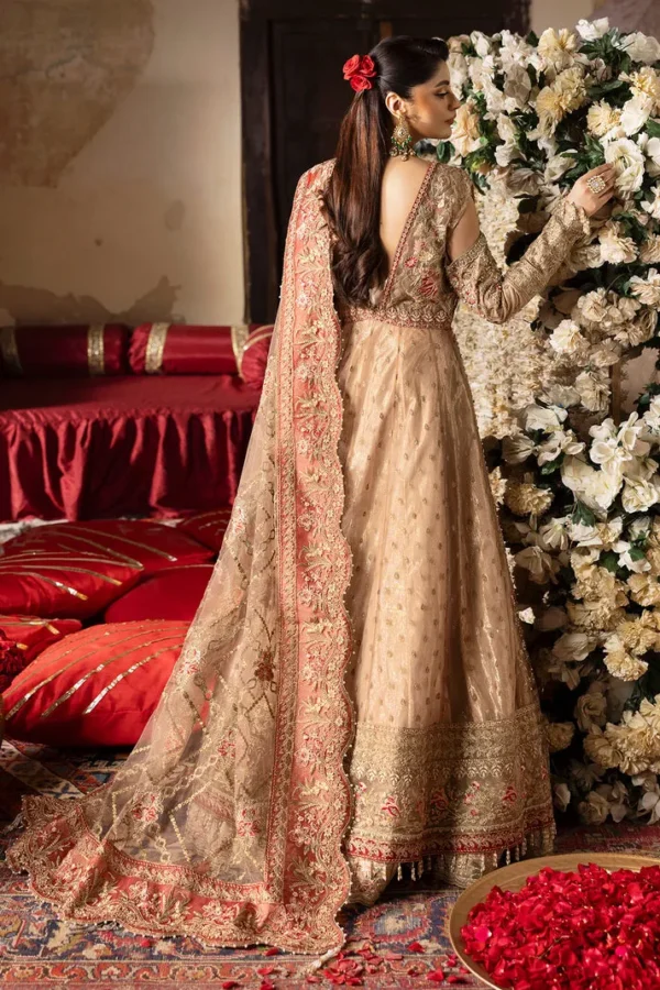 SB-37 Zarnigar | Imrozia Jashn Bridal