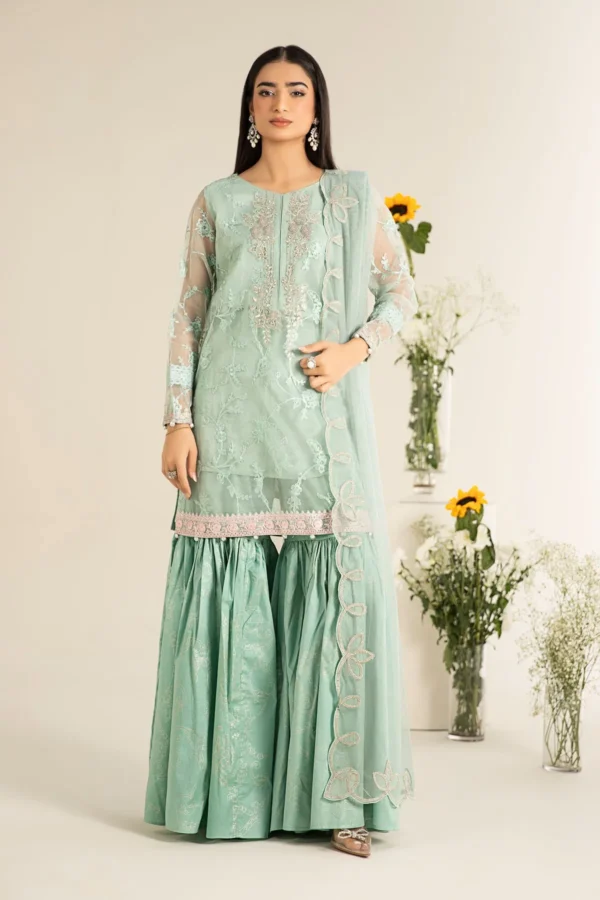 Maria B Embroidered Cotton Silk Suit | DW-EF25-17