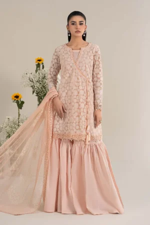 Maria B Embroidered Polyester Net Suit | DW-EF25-100