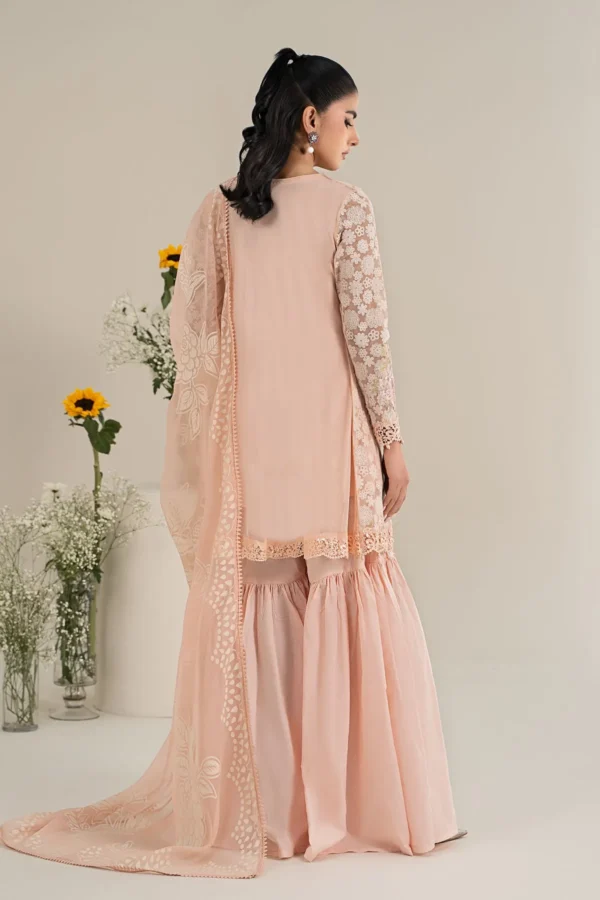 Maria B Embroidered Polyester Net Suit | DW-EF25-100