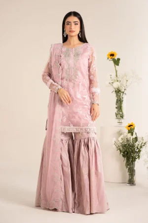 Maria B Embroidered Cotton Silk Suit | DW-EF25-17