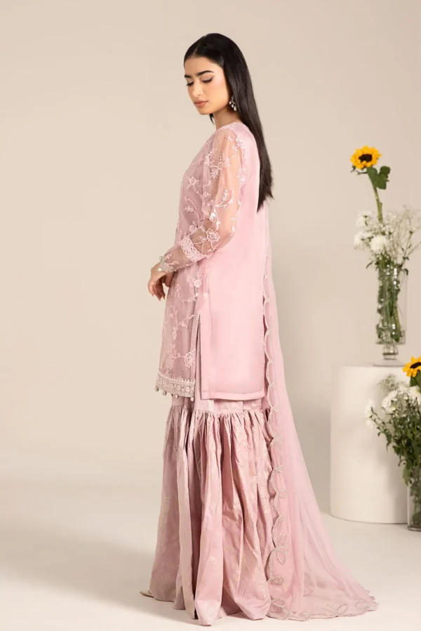 Maria B Embroidered Cotton Silk Suit | DW-EF25-17