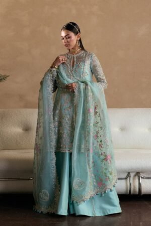 Suffuse Freeshia - Illyra