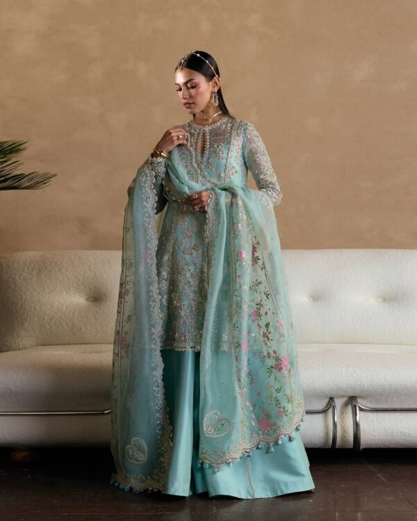 Suffuse Freeshia - Illyra