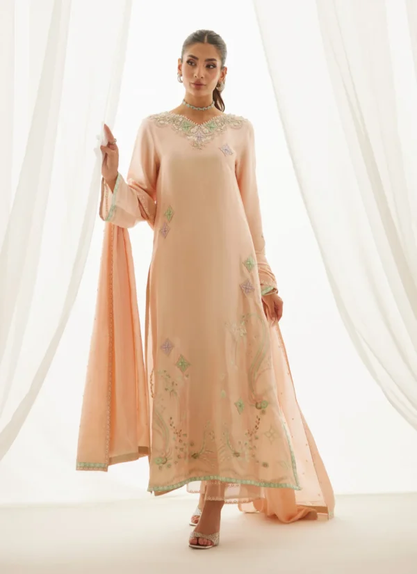 Farah Talib Aziz Wedding Luxe Pret - Corvina