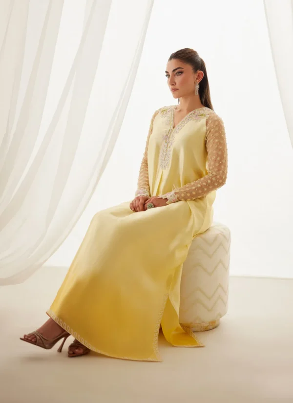 Farah Talib Aziz Wedding Luxe Pret - Inez Lemon