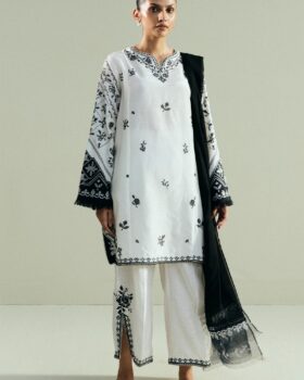 Zara Shahjahan Pret 25 - CR25P0951