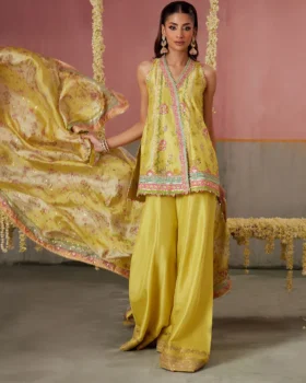 Farah Talib Aziz Mayna Festive Prints - Zaria