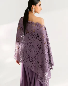 Saira Rizwan Silk Pret 25 - Serai - Srsp-25-12