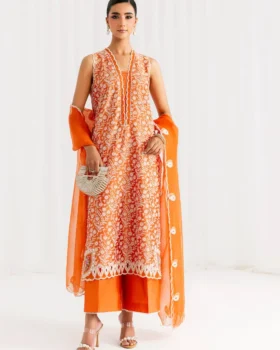 Saira Rizwan Silk Pret 25 - Eira - Srsp-25-03