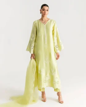 Saira Rizwan Silk Pret 25 - Sahara - Srsp-25-05