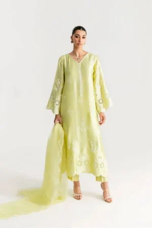 Saira Rizwan Silk Pret 25 - Sahara - Srsp-25-05